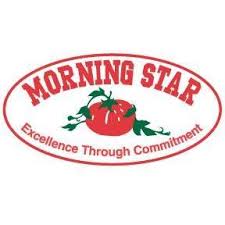 Morning Star Packing Logo