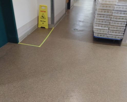 Microplant Nursery epoxy industrial floor after 25 years of use